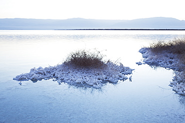 Salt formations on the surface of the water, Dead Sea, Israel, Middle East