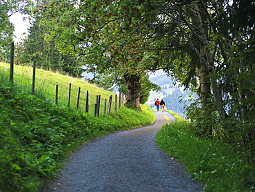 Two people walking along a path, Wengen, Switzerland, Europe