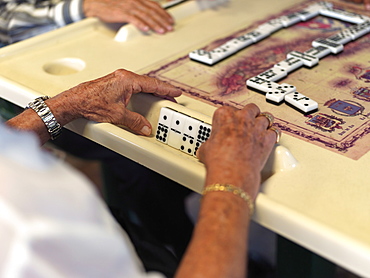 Playing dominoes, Maximo Gomez Park, Miami, Florida, United States of America, North America