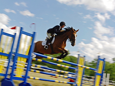 Equestrian jumping hurdle, Niagara-on-the-Lake, Ontario, Canada, North America