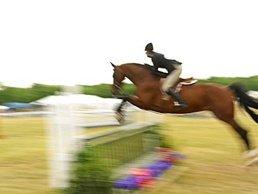 Equestrian jumping hurdle, Niagara-on-the-Lake, Ontario, Canada, North America