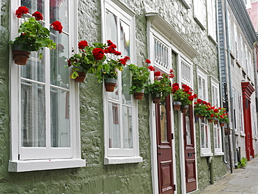 Facade of residences with doors and flowers in pots, Quebec City, Quebec, Canada, North America