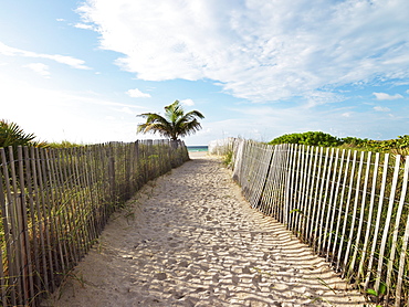 Path leading to beach with wooden fence, South Beach, Miami, Florida, United States of America, North America