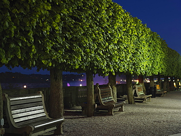 Empty benches under trees in a park setting at night, Queen Victoria Park, Niagara Falls, Ontario, Canada, North America