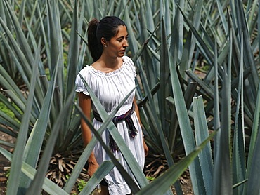 Mexican woman in traditional dress standing in a field of blue agave which is used for tequila production, Tequila, Jalisco, Mexico, North America