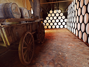 Barrels of tequila on display at the Cofradia distillery, Tequila, Jalisco, Mexico, North America