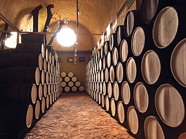 Barrels of tequila on display at the Cofradia distillery, Tequila, Jalisco, Mexico, North America