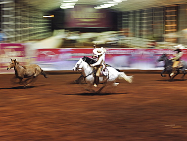 Mexican charro participating in charreadas, a type of rodeo, Guadalajara, Jalisco, Mexico, North America