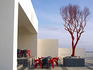 Bare red tree against a white building and blue sky on a patio cafe, Mayan Riviera, Akumal, Yucatan, Quintana Roo, Mexico, North America