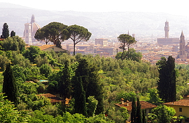 View of Florence skyline, Florence, Tuscany, Italy, Europe