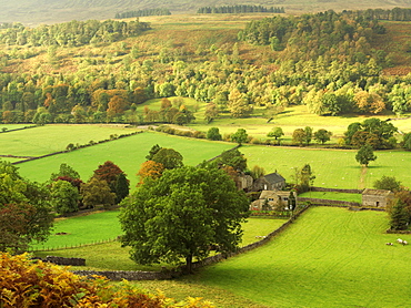 Farm in a country setting early autumn, Yorkshire Dales National Park, Yorkshire, England, United Kingdom, Europe