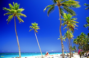 White sandy beach and palm trees facing Caribbean Sea, Bavaro Beach, Punta Cana, Dominican Republic, West Indies, Caribbean, Central America