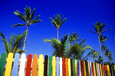 Multi-colored picket fence and palm trees on beach, Bavaro Beach, Punta Cana, Dominican Republic, West Indies, Caribbean, Central America