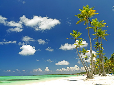 Palm trees, white sandy beach and green Caribbean Sea, Bavaro Beach, Punta Cana, Dominican Republic, West Indies, Caribbean, Central America