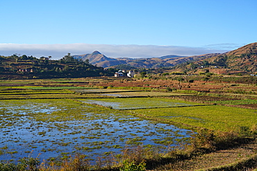 Landscape on the RN34 route close to Antsirabe, Central Madagascar, Africa