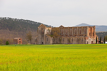 San Galgano Abbey ruins in Chiusdino, Siena, Tuscany, Italy, Europe