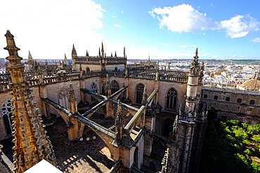 Seville Cathedral seen from Giralda bell tower, UNESCO World Heritage Site, Seville, Andalucia, Spain, Europe 