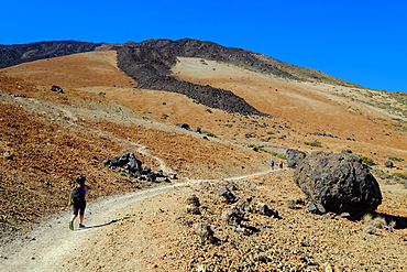 Teide National Park, Tenerife, Canary Islands, Spain, Europe