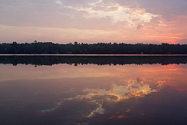 Forest by the shore of Gull Lake, during daybreak in the Muskoka region of Ontario, Canada, North America