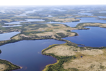 Aerial view of lakes and an esker, a ridge formed by sediment deposited during the last Ice Age, in northern Manitoba, Canada, North America