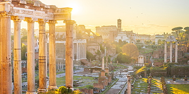 Forum at sunrise, UNESCO World Heritage Site, Rome, Lazio, Italy, Europe