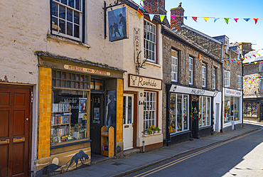 UK, Wales, Powys, Hay-on-Wye, Murder and Mayhem Bookshop