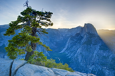 Half Dome from Glacier Point, Yosemite National Park, UNESCO World Heritage Site, California, United States of America, North America