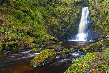 Llanrhaeadr ym Mochnant, Pistyll Rhaeadr Waterfalls, Berwyn Mountains, Powys, Wales, United Kingdom, Europe 