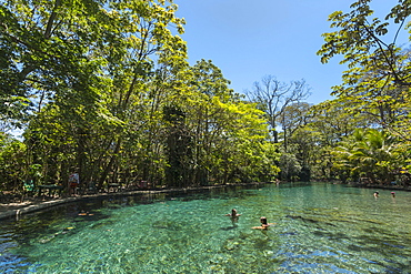 Clear spring waters of La Presa Ojo de Aqua pool near Santa Domingo on the east coast, Omotepe Island, Lake Nicaragua, Nicaragua, Central America