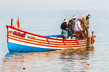 Fishermen pulling in net from the Arabian Ocean just off popular Marari Beach, Mararikulam, Alappuzha (Alleppey), Kerala, India, Asia