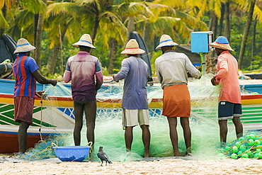 Fishermen cleaning and folding gill nets at busy, popular Marari Beach, Mararikulam, Alappuzha (Alleppey), Kerala, India, Asia