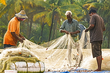 Fishermen collecting small-sized catch from gill net at popular Marari Beach, Mararikulam, Alappuzha (Alleppey), Kerala, India, Asia