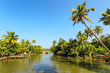 The palm fringed backwaters that attract the popular tourist houseboat cruises, Alappuzha (Alleppey), Kerala, India, Asia