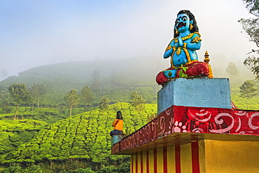 Lakshmi tea estate temple devoted to Aravan of the Tamil Kuttantavar Cult, many tea workers are Tamil, Munnar, Kerala, India, Asia