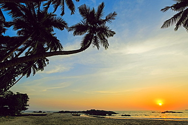 Leaning palm trees at sunset on lovely unspoilt Kizhunna Beach, south of Kannur on the state's North coast, Kannur, Kerala, India, Asia