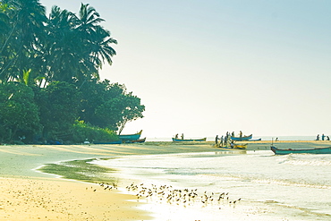 Fishermen and wading birds at beautiful Kizhunna Beach, south of Kannur on the Kerala north coast, Kizhunna, Kannur, Kerala, India, Asia