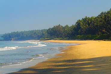 Beautiful palm fringed Kizhunna Beach, south of Kannur on the Kerala north coast, Kannur, Kerala, India, Asia