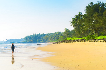 Lone traveller on lovely palm-fringed Kizhunna Beach, south of Kannur on Kerala's north coast, Kizhunna, Kannur, Kerala, India, Asia