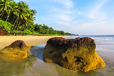 Rocky outcrops at beautiful palm fringed Kizhunna Beach, south of Kannur on the Kerala north coast, Kannur, Kerala, India, Asia