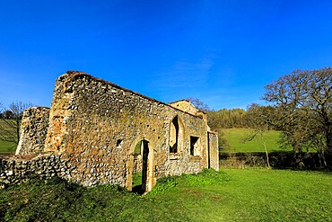 Ruin of St. James' church near Bix, once central to Bix Brand, the lost mediaeval village, Bix, Henley-on-Thames, Oxfordshire, England, United Kingdom, Europe