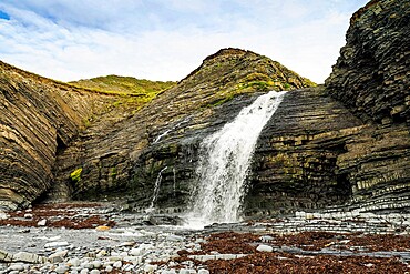 Unusual beach waterfall where the Afon Drywi tumbles over Silurian Grits into Little Quay Bay, New Quay, Ceredigion, Wales, United Kingdom, Europe