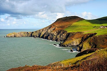 Lochtyn Peninsula's eroded cliffs at Llangrannog, The Giant Bica's rock tooth is lower right, Lochtyn, Ceredigion, Wales, United Kingdom, Europe