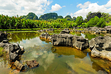 Typical eroded limestone outcrops and lake in karst region, Rammang-Rammang, Maros, South Sulawesi, Indonesia, Southeast Asia, Asia