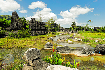 Typical eroded limestone outcrops and lake in karst region, Rammang-Rammang, Maros, South Sulawesi, Indonesia, Southeast Asia, Asia