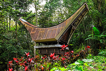 Zinc clad saddleback roofed tongkonan, Bori Kalimbuang megalithic burial site, Bori, Rantepao, Toraja, South Sulawesi, Indonesia, Southeast Asia, Asia