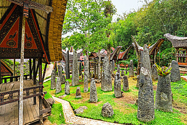 Bori Kalimbuang, megalithic burial site with 102 menhirs near Rantepao, Bori, Rantepao, Toraja, South Sulawesi, Indonesia, Southeast Asia, Asia