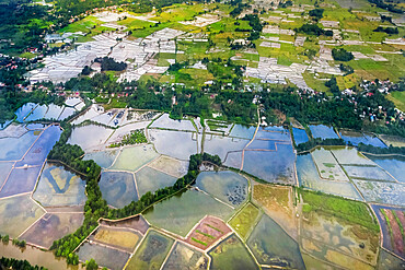 Rice fields and fish ponds on the Gulf of Boni estuarine coast near South Sulawesi's second city, Palopo, Luwu, South Sulawesi, Indonesia, Southeast Asia, Asia