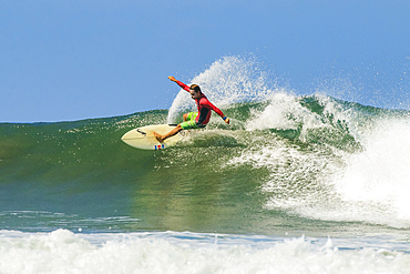 Shortboard surfer rides a wave at this fast-growing surf beach and yoga destination, Playa Guiones, Nosara, Guanacaste, Costa Rica, Central America