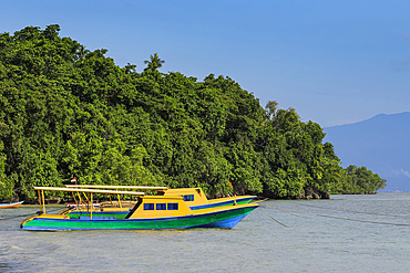 Ferry boats moored on the central bay of this coral fringed holiday and scuba dive destination, Bunaken Island, North Sulawesi, Indonesia, Southeast Asia, Asia