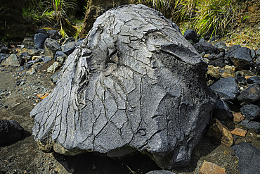 Stress cracks in the skin of a large fallen lava bomb near Mount Lokon, an active stratovolcano, near Tomohon city, Gunung Lokon, Tomohon, North Sulawesi, Indonesia, Southeast Asia, Asia